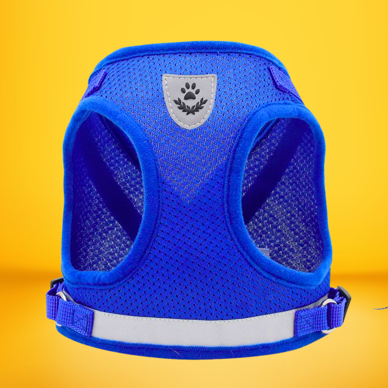 HARNAIS POUR CHAT | MINIDOUX™