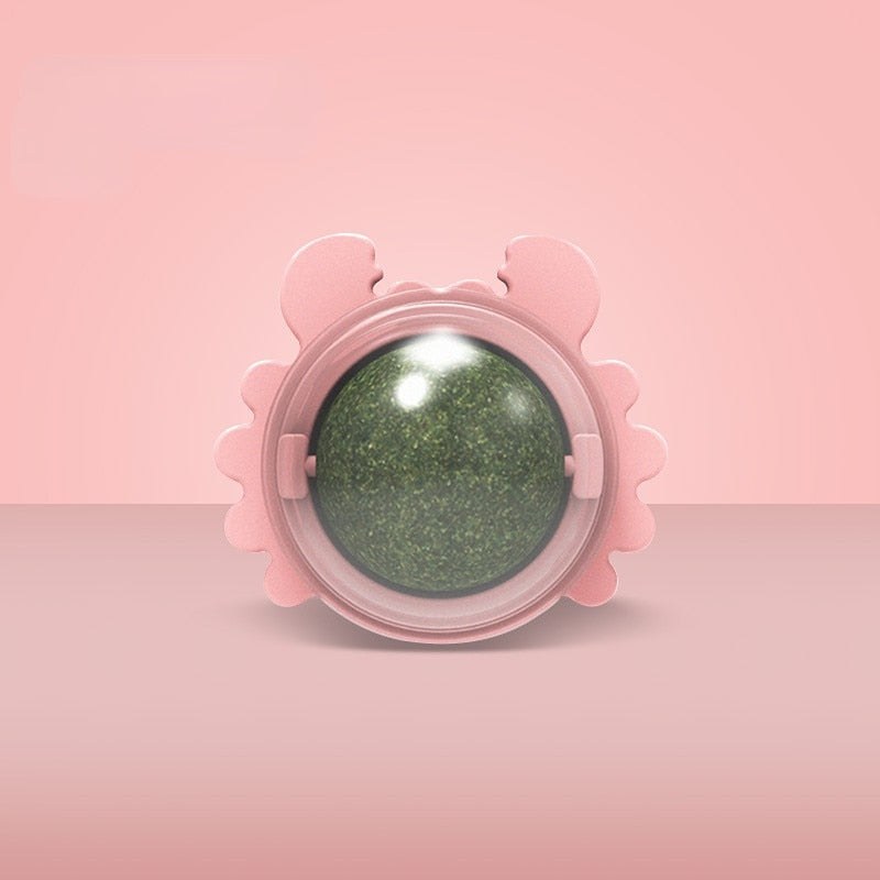 Friandus™ | boule herbe à Chat