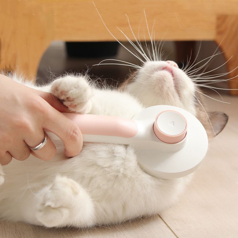 CATBRUSH™ BROSSE POIL AUTONETTOYANTE