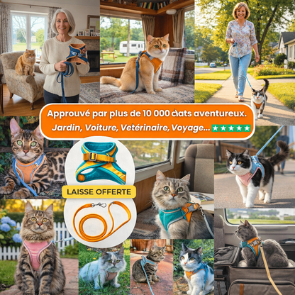 HARNAIS CHAT | LIBERTY CAT™