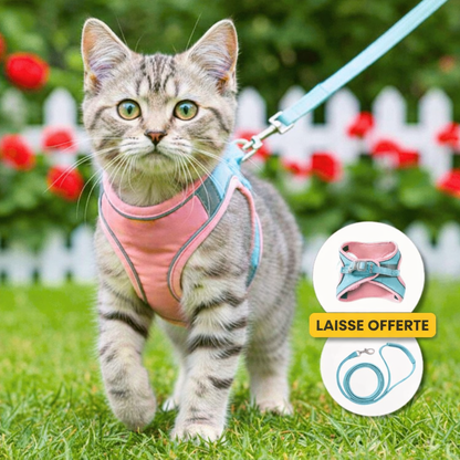 HARNAIS CHAT | LIBERTY CAT™