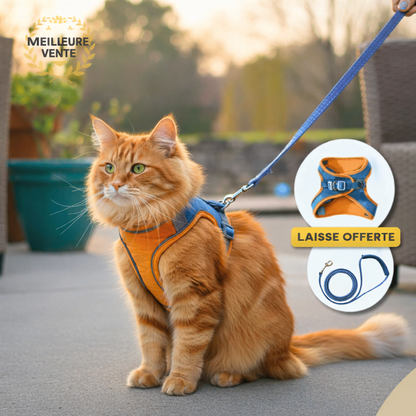 HARNAIS CHAT | LIBERTY CAT™