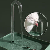 Fontaine pour chat | Aquarus™