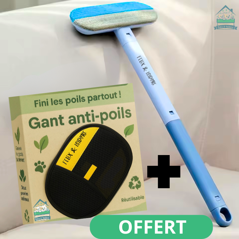 Brosse anti-poils | Zéro Poils™
