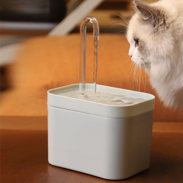 Fontaine pour chat | Aquarus™