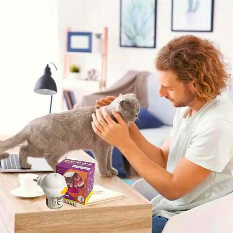 en stock, https://felix-et-isidore.com/ Trouvez les meilleurs accessoires pour chats chez votre spécialiste des félins, la première animalerie en ligne en france. Harnais pour chat, gamelle confort, brosse pour animaux, des colliers élégants, aux lits douillets, et toute notre gamme d'accessoires pour chats.felix-et-isidore.com
