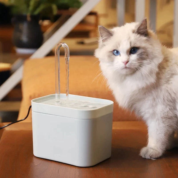 Fontaine pour chat | Aquarus™