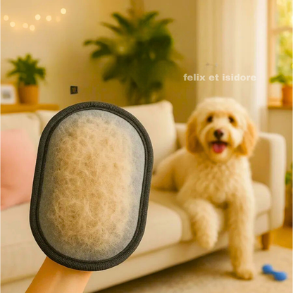 Brosse anti-poils | Zéro Poils™