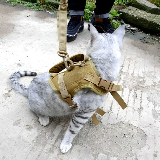 HARNAIS CHAT  |  ELEGANCE SAUVAGE™