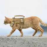 HARNAIS CHAT  |  ELEGANCE SAUVAGE™