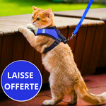 HARNAIS POUR CHAT | MINIDOUX™