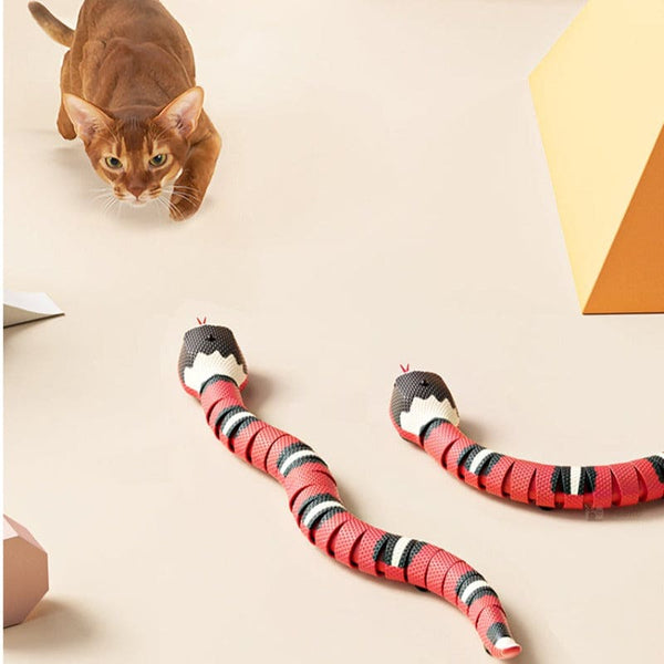 Jouet pour chat | snake kingdom™