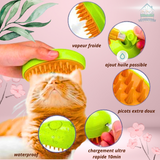 BROSSE VAPEUR | VAPOILS™
