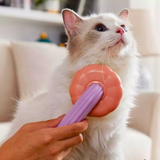 BROSSE POUR ANIMAUX | PHARMA CITRUS™